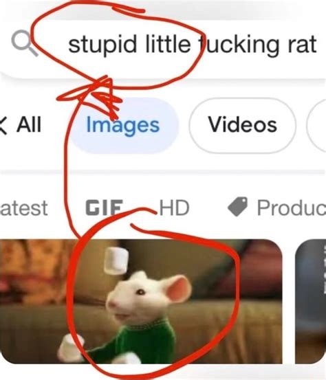 stupid little fucking rat|You're right. He's a stupid rat. .